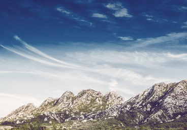 数字商店安全的虚拟号码短信发送平台